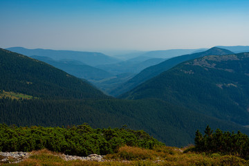 Fototapeta na wymiar Mountain ridges, covered with coniferous woods