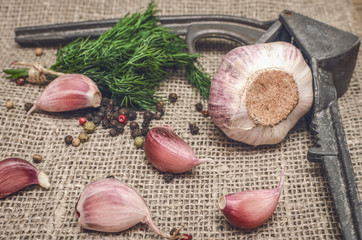 Garlic bulb and cloves, pepper peas, salt, greenery dill on the brown wooden table background. Different Spices. Ingredients for marinade.
