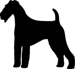 Airedale Terrier Dog
