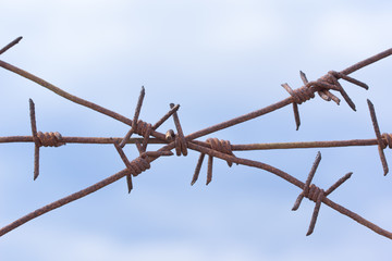 rusty barbed wire