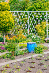 Beautiful Home garden Allotment in spring