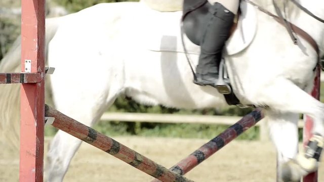 salto ostacoli