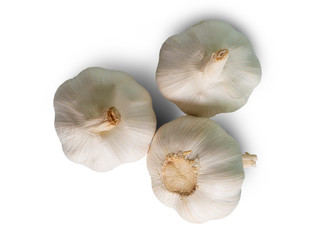 Beautiful  top view Garlic. (clipping path)