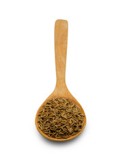 Pile of Caraway Seeds.(clipping path)