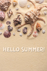 Hello summer inscription on light sand with seashells