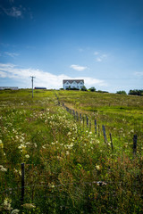Fototapeta na wymiar Rural House in Countryside