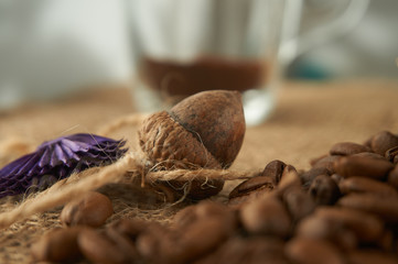 Dried acorn and coffee beans on a jute bag background, copy spac