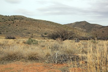 Paysage de l'Arizona, un jour de temps couvert. (USA)