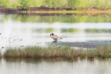 Impressions from the Moorpark in Bad Feilnbach, Bavaria