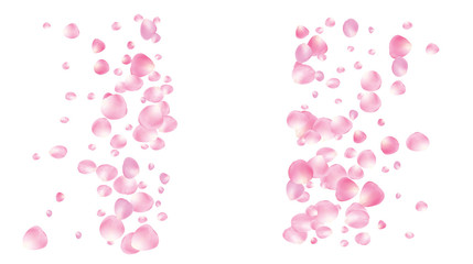 Obraz na płótnie Canvas Wedding Sakura Cherry, Rose Petals Floral Confetti. Shower Vector Peach Apple Blossom Soft Sakura Cherry and Rose Confetti Falling Down. Windy Floral Design, Natural Cosmetics Decoration.