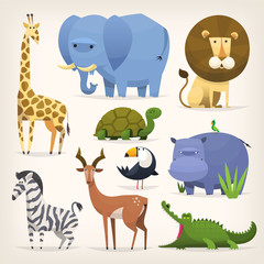 Tropical birds and animals