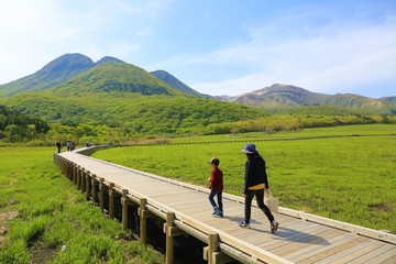 くじゅうタデ原湿原