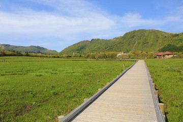くじゅうタデ原湿原