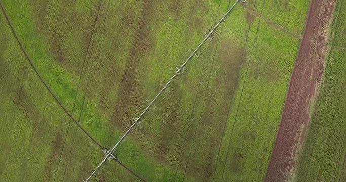 A view from the top of vegetable  plantation field in mesopotamia Urfa - Turkey