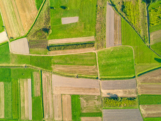 Aerial view of agricultural fields