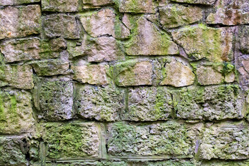 Ancient stone wall covered with thin layer of moss.