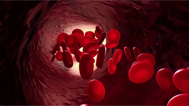 Blood in blood vessel wiht alpha