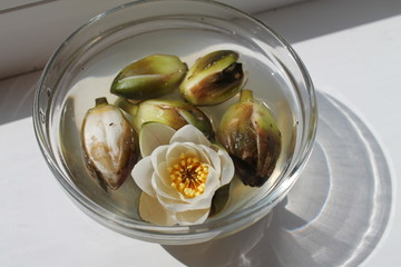 beautiful composition from flowers for decoration