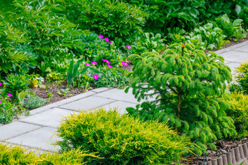 Naklejka premium Beautiful Home garden Allotment in spring