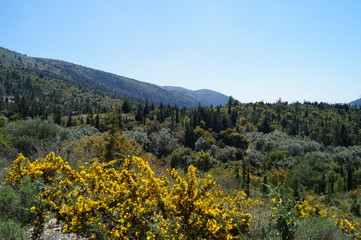 mountain slopes of the island of Lefkada
