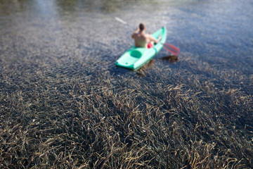 kayaking in water full of seaweed © aerogondo