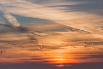 Orange clouds on the sky at the sunset moment