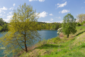 Fototapeta na wymiar a picturesque lake amidst trees and meadows