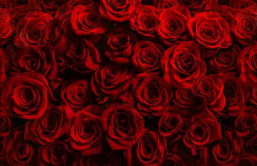 Acrylic prints Roses  million fresh red roses isolated on a black background. Greeting card with roses