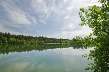 Fototapeta na wymiar Pond surrounded by forest