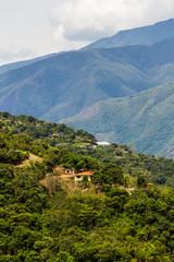 Community African Bolivian of Tocaña -  Agriculture House