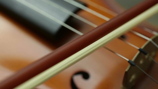 Strumenti musicali a corda