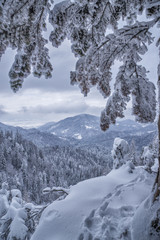 Winter landscape with mountains and forests covered in snow