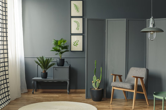 Grey room with plants interior