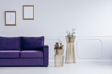 Gold and purple living room