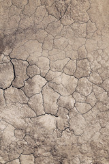 dry ground background