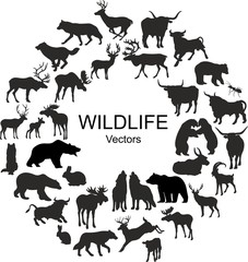 Collection of silhouettes of different species of wild animals