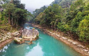 Creek in jungle