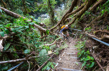 Hike in Costa Rica