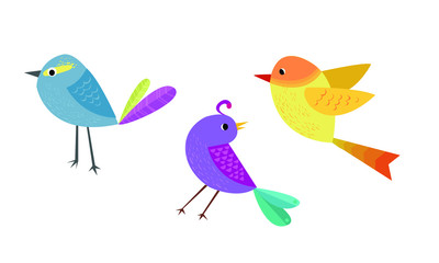 colorful cute birds
