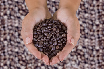 Coffee beans in female hands on brown background.