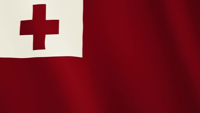 Tonga flag waving animation. Full Screen. Symbol of the country.