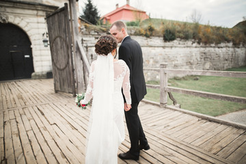 Wedding couple bride and groom holding hands