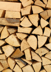 woodshed with pieces of wood