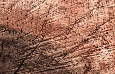 Close up view of brown timber surface is cut with patterned cracks.