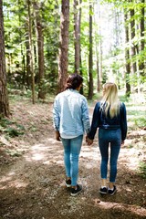 Fototapeta premium Young couple walking, hand in hand, through forest