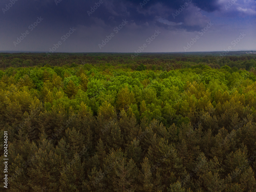 Wall mural Thunderstorm over wild forest at spring,aerial drone - Wall murals