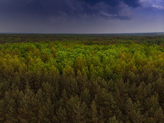 Thunderstorm over wild forest at spring,aerial drone