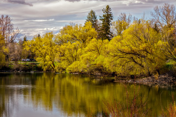 Spring colors reflected on slow moving Whitefish River, Montana