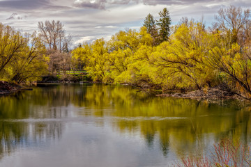 Fototapeta na wymiar Spring colors reflected on slow moving Whitefish River, Montana