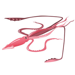 Giant squid vector illustration, isolated object on white background, sea creature, fantastical mythical character.